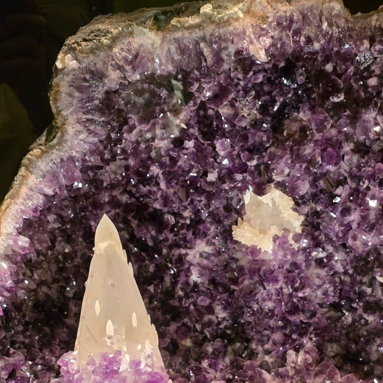Amethystdruse aus Museum Teil einer Amethystdruse aus Mineraliensammlung